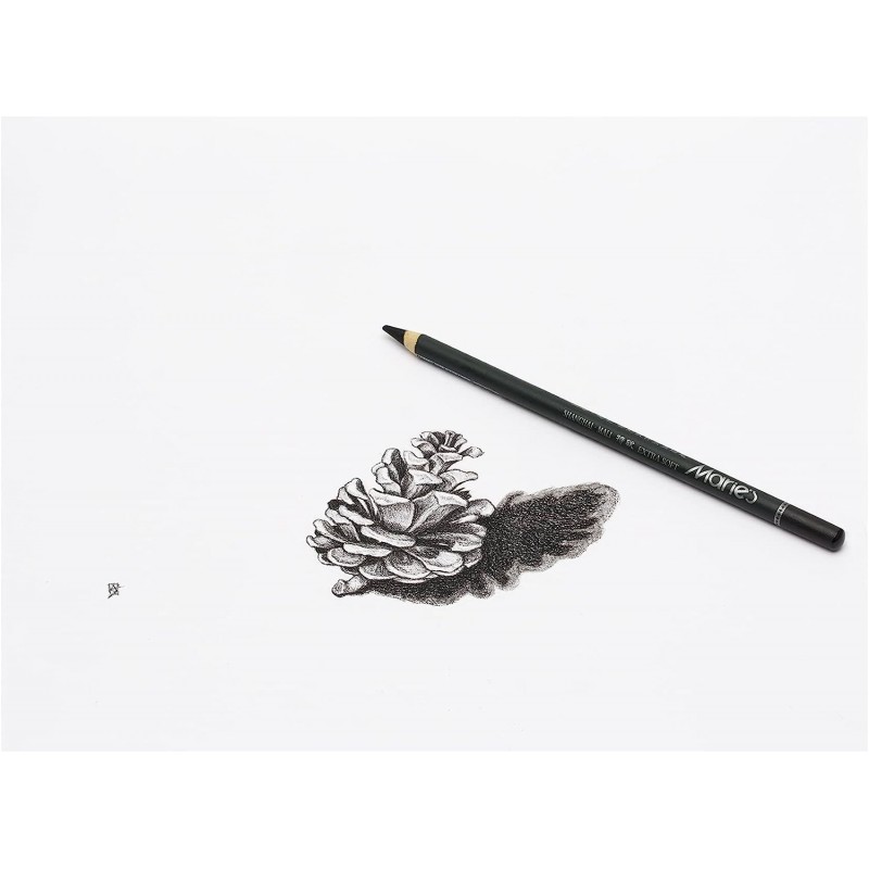12pcs Marie's Artist Soft Black Paper Handle Charcoal Pencils for