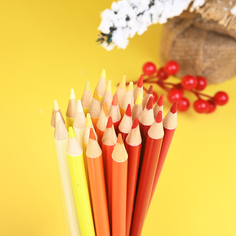 Brutfuner 260/520 Color Professional Oil Color Pencil Set Sketch Paint –  AOOKMIYA